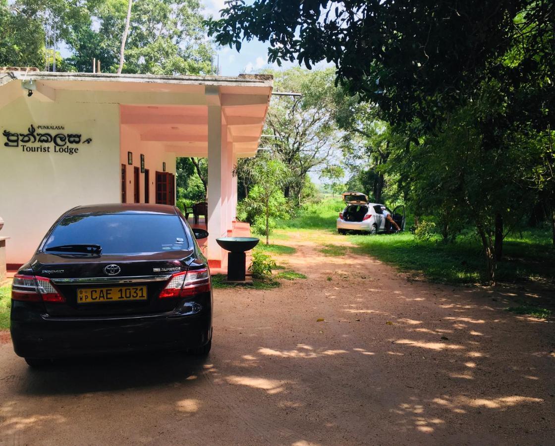 Punkalasa Tourist Lodge Anuradhápura Exteriér fotografie
